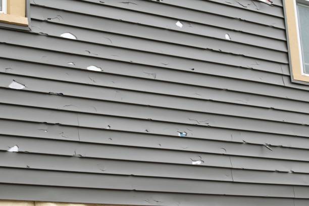 Best Construction Debris Removal  in Leo Cedarville, IN